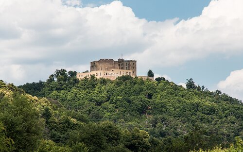 Schloss auf einem Berg zwischen Bäumen | © Pixabay