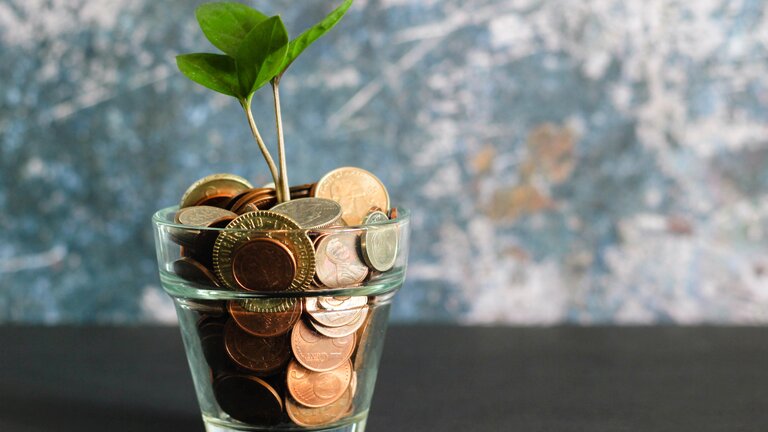 Geld in einem Glas aus dem ein Pflanze wächst | © Foto: Micheile Henderson/unsplash