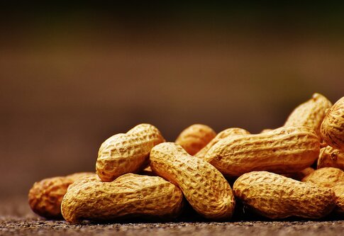 Ungeschälte Erdnüsse vor neutralem Hintergrund  | © pixabay