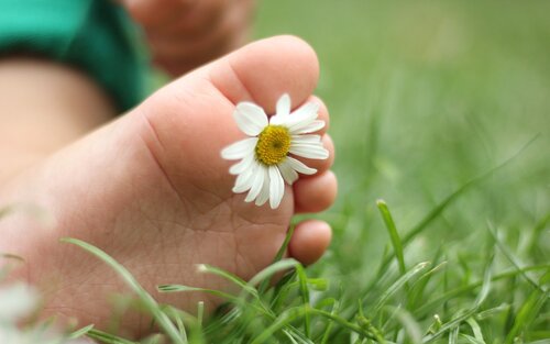 Babyfuß mit einem Gänseblümchen zwischen den Zehen und Gras im Hintergrund | © pixabay