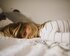 Eine blonde Frau liegt auf dem Bauch im Bett und die Haare liegen ihr dabei im Gesicht. Ihr Kopf ist Richtung Kamera gedreht und sie schaut zur Kamera. | © Kinga Cichewicz/unsplash
