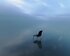 Ein Stuhl steht in einem See, umgeben von Wolken und Nebel. | © EnableMe