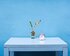 Kleine Pflanze und Zuckerdose aus Glas auf einem blauen Tisch | © pixabay