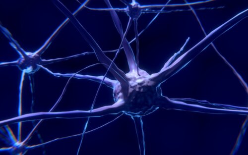 Großaufnahme einer Nervenzelle | © pixabay
