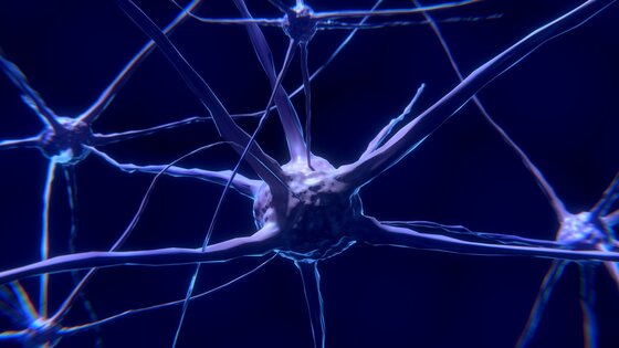 Großaufnahme einer Nervenzelle | © pixabay