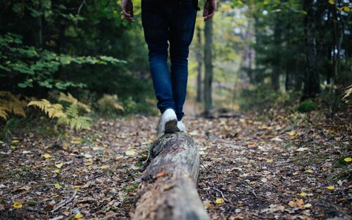 Ein Mann balanciert auf einem Baumstamm im Wald | © pixabay