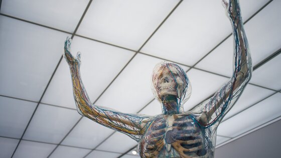 Der Oberkörper einer Figur des Menschen | © Camilo Jimenez/unsplash