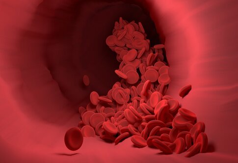 Abbildung von Erythrozyten in der Blutlaufbahn. | © pixabay