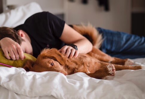 Mann und Hund schlafen im Bett. | © Unsplash