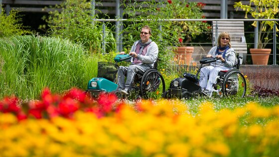 Eine Frau und ein Mann fahren mit ihren Rollstühlen durch den Park in Bad Bevensen, an einem rot-gelbem Blumenfeld vorbei. | © Lars Wendlandt