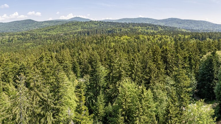 Panorama Foto: Bayerischer Wald | © Pixabay