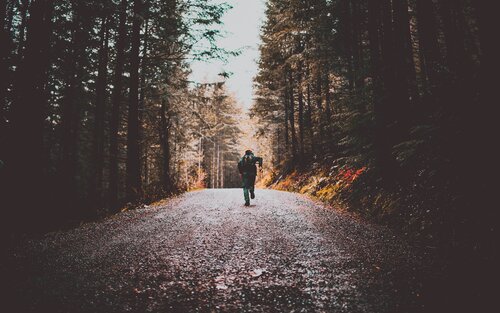Jemand rennt eine Waldstraße hoch | © pexels