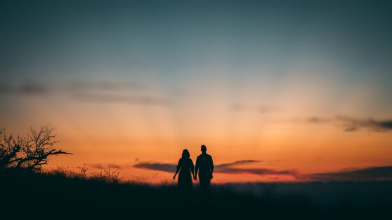 Ein Paar steht händchenhaltend auf einer Wiese und schaut den Sonnenuntergang an. | © Taryn Elliot/ Pexels.com