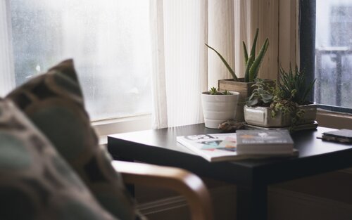 Man sieht im Vordergrund verschwommen ein Sessel und dahinter ein Coachtisch auf dem Pflanzen, Bücher und Magazine liegen. Im Hintergrund befindet sich ein Fenster mit weißen Gardinen. | © Kari Shea