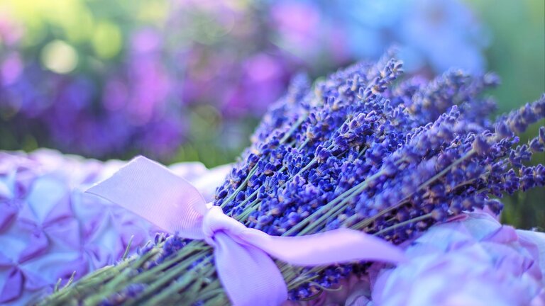 Lavendelbund mit Seidenschleife | © Pixabay.com