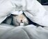 Schlafende Katze unter einer weißen Bettdecke | © Unsplash.com