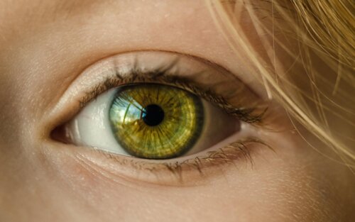 grünes Auge einer blonden Frau fokussiert | © pixabay.com
