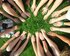 Eine Gruppe von Menschen sitzt im Kreis zusammen. Sie halten alle ihre Hände und Füße nach vorne in den Kreis hinein. Foto ist aus der Vogelperspektive aufgenommen. | © pexels