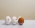 Man sieht drei Eier in einem Eierkarton, auf die Gesichter gemalt sind. Die zwei linken Eier sind weiß und schauen entsetzt zu dem rechten Ei, das braun ist. Das braune Ei hat einen erschrockenen Gesichtsausdruck. | © Daniel Reche / Pexels.com