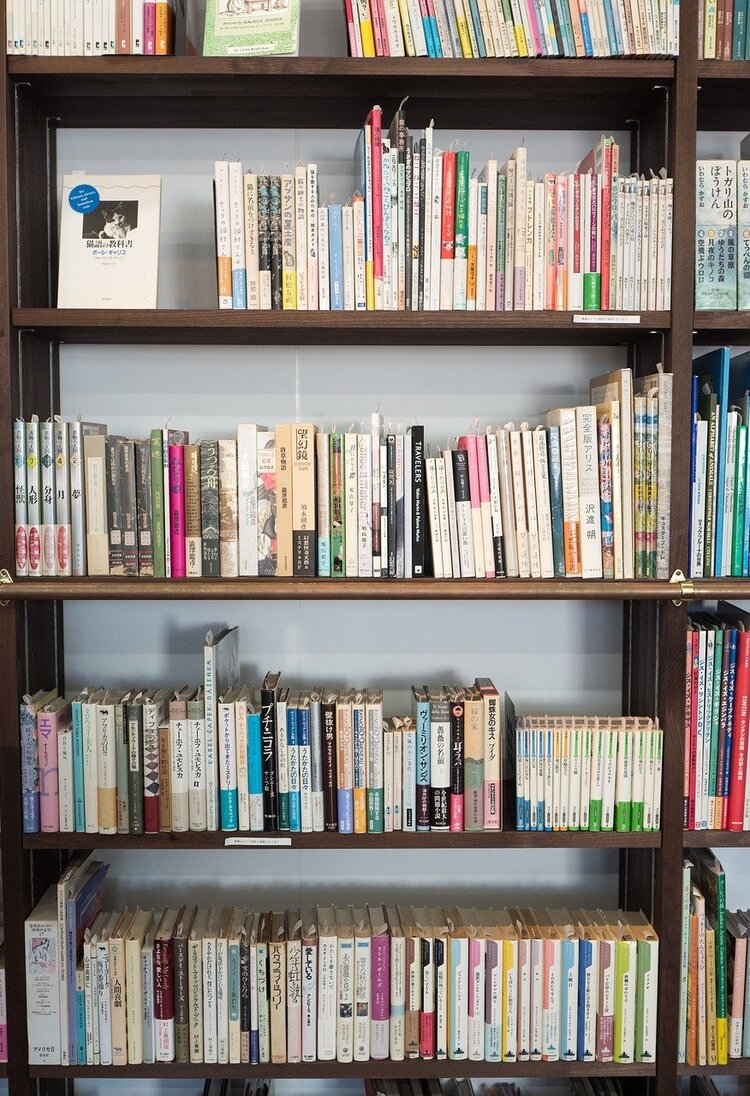 Regal voller Bücher in einer Bibliothek | © pixabay